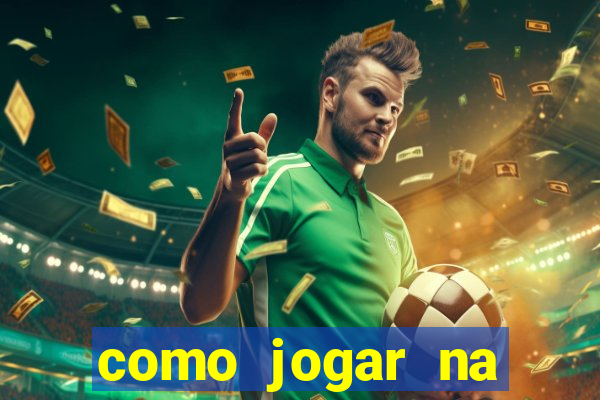 como jogar na seninha online